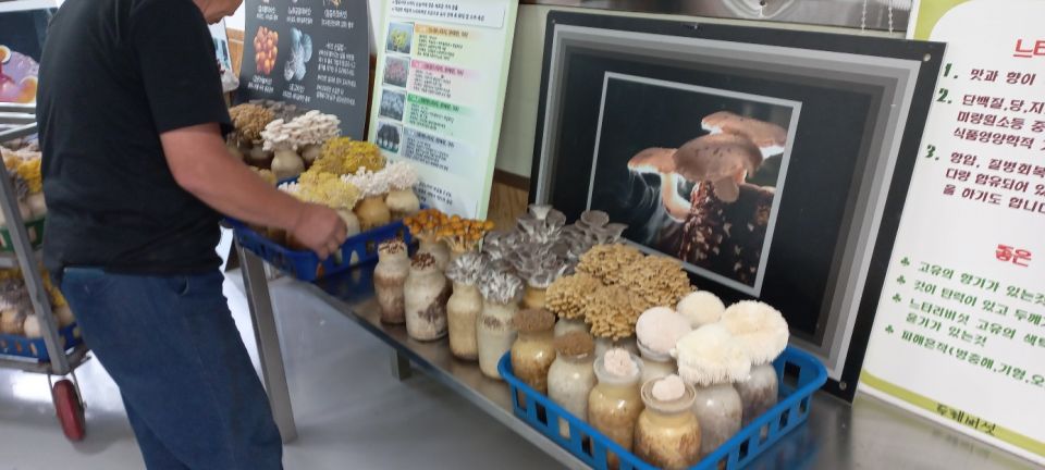 버섯체험 (21).jpg