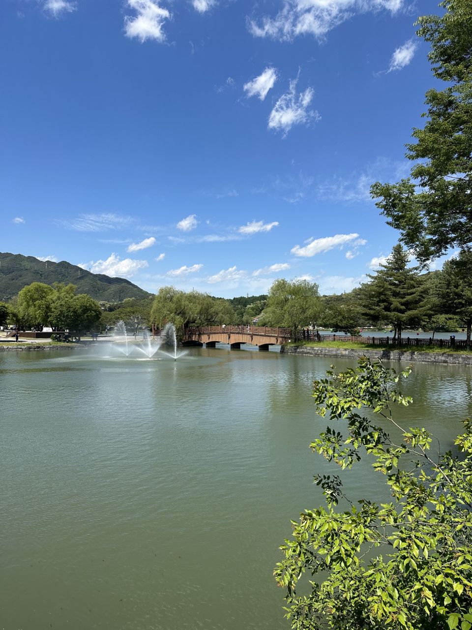 의림지 호수.jpg