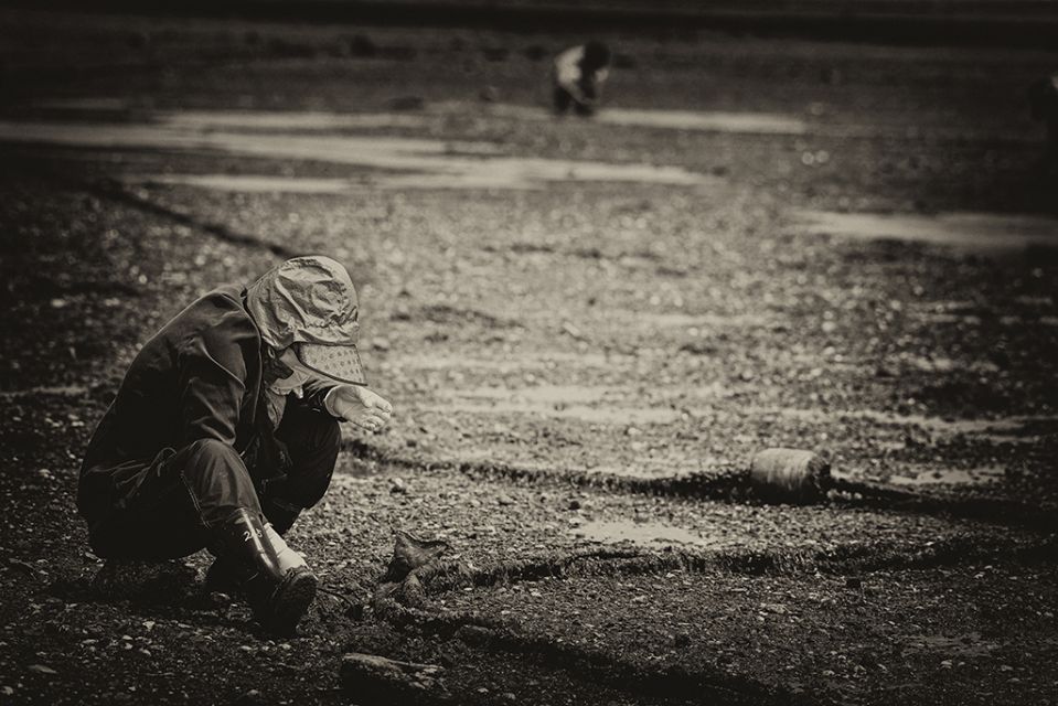 DSC_2601 - 복사본.JPG