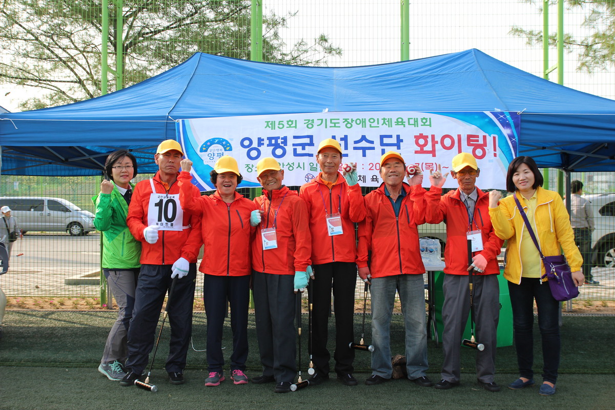 양평2 2015년 경기도장애인체육대회.JPG