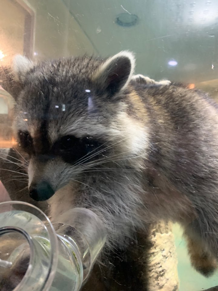 191220 사회화교육 05.jpg