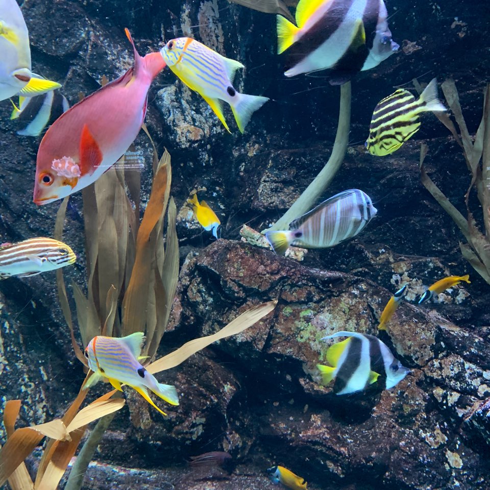 191220 사회화교육 04.jpg